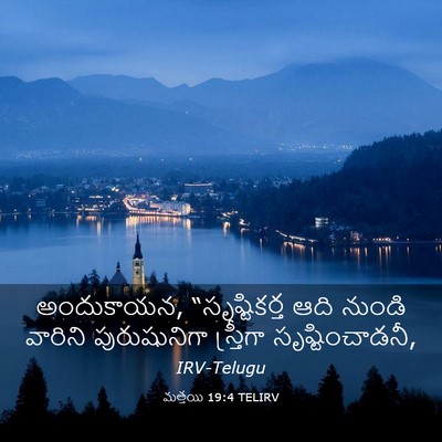 Picture 03 - మత్తయి 19:4 TELIRV - అందుకాయన, - Bible Verse Picture