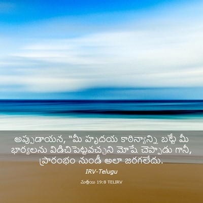 Picture 03 - మత్తయి 19:8 TELIRV - అప్పుడాయన, “మీ - Bible Verse Picture
