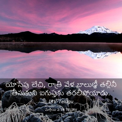 Picture 03 - మత్తయి 2:14 TELIRV - యోసేపు లేచి, - Bible Verse Picture