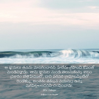 Picture 03 - మత్తయి 2:16 TELIRV - ఆ జ్ఞానులు తనను - Bible Verse Picture