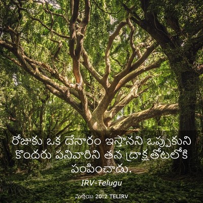 Picture 03 - మత్తయి 20:2 TELIRV - రోజుకు ఒక దేనారం - Bible Verse Picture