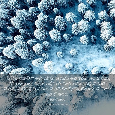 Picture 03 - మత్తయి 20:21 TELIRV - “నీకేమి కావాలి?” - Bible Verse Picture
