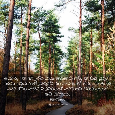 Picture 03 - మత్తయి 20:23 TELIRV - ఆయన, “నా - Bible Verse Picture