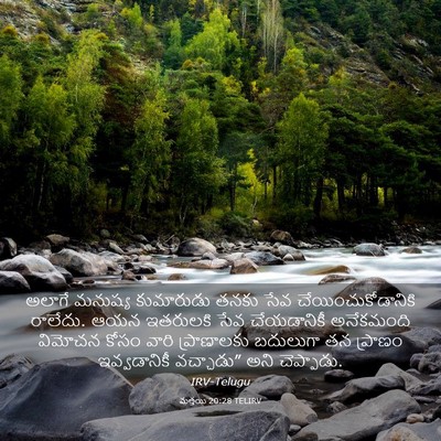 Picture 03 - మత్తయి 20:28 TELIRV - అలాగే మనుష్య - Bible Verse Picture