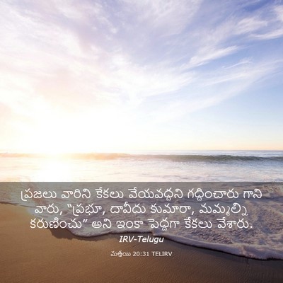 Picture 03 - మత్తయి 20:31 TELIRV - ప్రజలు వారిని - Bible Verse Picture