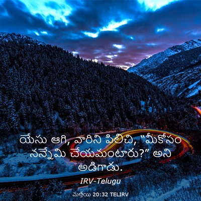 Picture 03 - మత్తయి 20:32 TELIRV - యేసు ఆగి, వారిని - Bible Verse Picture