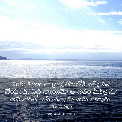 Picture 03 - మత్తయి 20:4 TELIRV - ‘మీరు కూడా నా - Bible Verse Picture