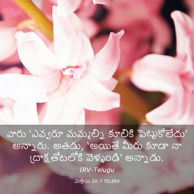 Picture 03 - మత్తయి 20:7 TELIRV - వారు ‘ఎవ్వరూ - Bible Verse Picture