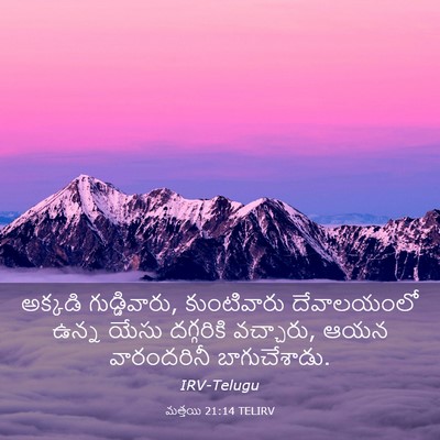 Picture 03 - మత్తయి 21:14 TELIRV - అక్కడి - Bible Verse Picture