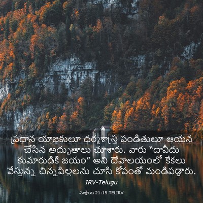 Picture 03 - మత్తయి 21:15 TELIRV - ప్రధాన యాజకులూ - Bible Verse Picture