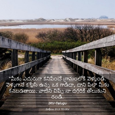 Picture 03 - మత్తయి 21:2 TELIRV - “మీకు ఎదురుగా - Bible Verse Picture