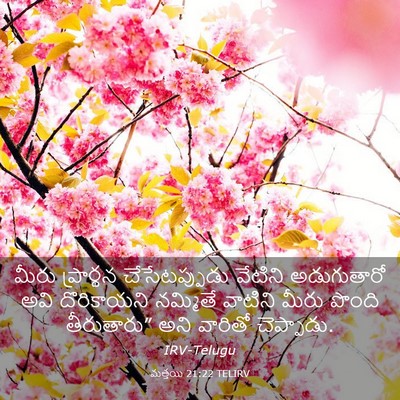 Picture 03 - మత్తయి 21:22 TELIRV - మీరు ప్రార్థన - Bible Verse Picture