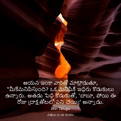 Picture 03 - మత్తయి 21:28 TELIRV - ఆయన ఇంకా వారితో - Bible Verse Picture