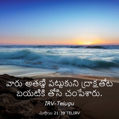 Picture 03 - మత్తయి 21:39 TELIRV - వారు అతణ్ణి - Bible Verse Picture