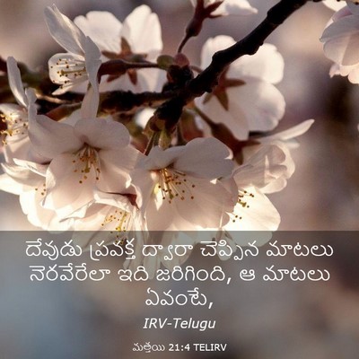 Picture 03 - మత్తయి 21:4 TELIRV - దేవుడు ప్రవక్త - Bible Verse Picture
