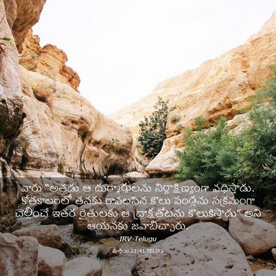 Picture 03 - మత్తయి 21:41 TELIRV - వారు “అతడు ఆ - Bible Verse Picture