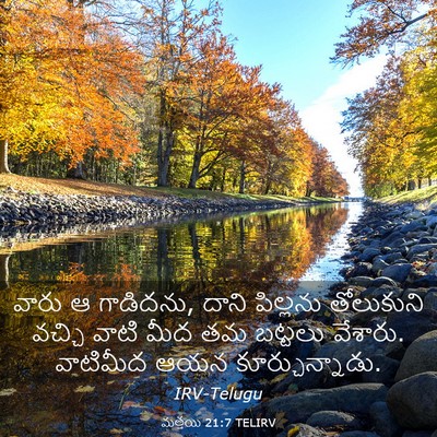 Picture 03 - మత్తయి 21:7 TELIRV - వారు ఆ గాడిదను, - Bible Verse Picture