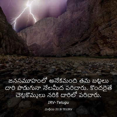 Picture 03 - మత్తయి 21:8 TELIRV - జనసమూహంలో - Bible Verse Picture