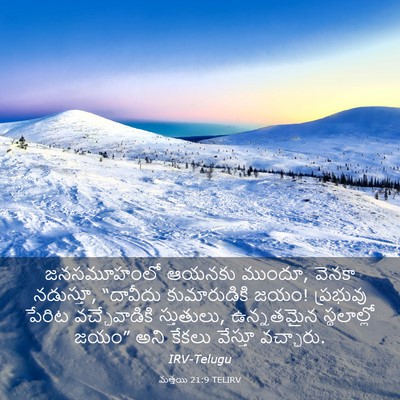 Picture 03 - మత్తయి 21:9 TELIRV - జనసమూహంలో ఆయనకు - Bible Verse Picture