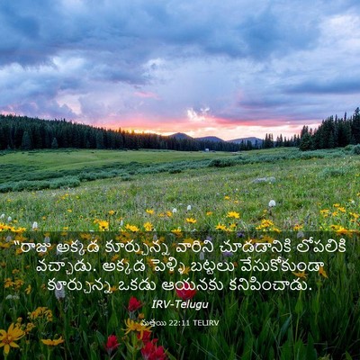 Picture 03 - మత్తయి 22:11 TELIRV - “రాజు అక్కడ - Bible Verse Picture