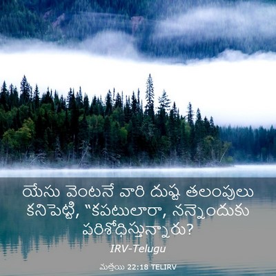 Picture 03 - మత్తయి 22:18 TELIRV - యేసు వెంటనే వారి - Bible Verse Picture