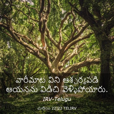 Picture 03 - మత్తయి 22:22 TELIRV - వారీమాట విని - Bible Verse Picture
