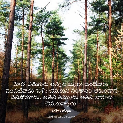 Picture 03 - మత్తయి 22:25 TELIRV - మాలో ఏడుగురు - Bible Verse Picture