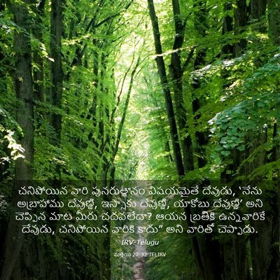 Picture 03 - మత్తయి 22:32 TELIRV - చనిపోయిన వారి - Bible Verse Picture