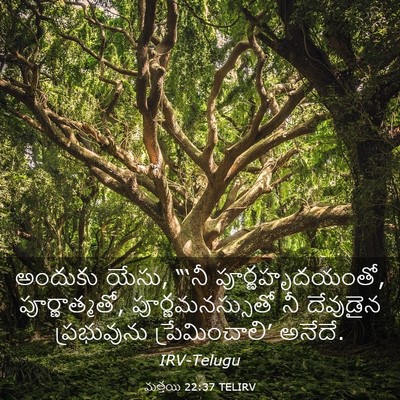 Picture 03 - మత్తయి 22:37 TELIRV - అందుకు యేసు, “‘నీ - Bible Verse Picture