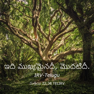Picture 03 - మత్తయి 22:38 TELIRV - ఇది ముఖ్యమైనదీ, - Bible Verse Picture