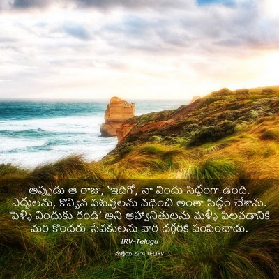 Picture 03 - మత్తయి 22:4 TELIRV - అప్పుడు ఆ రాజు, - Bible Verse Picture