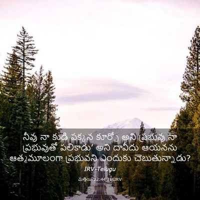 Picture 03 - మత్తయి 22:44 TELIRV - నీవు నా కుడి పక్కన - Bible Verse Picture