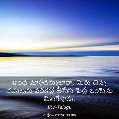 Picture 03 - మత్తయి 23:24 TELIRV - అంధ - Bible Verse Picture