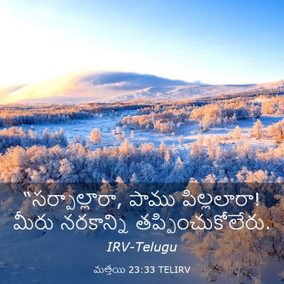 Picture 03 - మత్తయి 23:33 TELIRV - “సర్పాల్లారా, - Bible Verse Picture