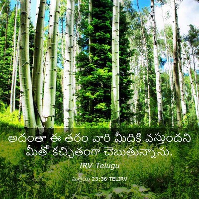 Picture 03 - మత్తయి 23:36 TELIRV - అదంతా ఈ తరం వారి - Bible Verse Picture