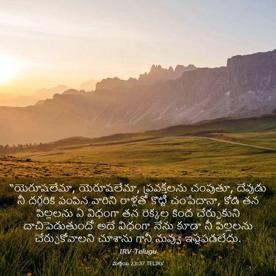 Picture 03 - మత్తయి 23:37 TELIRV - “యెరూషలేమా, - Bible Verse Picture