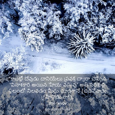 Picture 03 - మత్తయి 24:15 TELIRV - “కాబట్టి దేవుడు - Bible Verse Picture