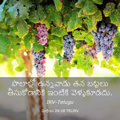 Picture 03 - మత్తయి 24:18 TELIRV - పొలాల్లో ఉన్నవాడు - Bible Verse Picture
