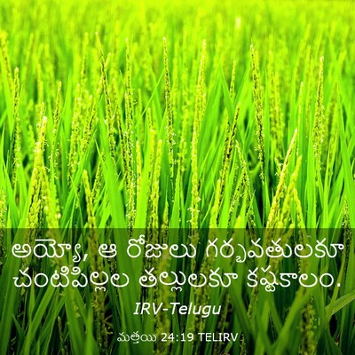 Picture 03 - మత్తయి 24:19 TELIRV - అయ్యో, ఆ రోజులు - Bible Verse Picture