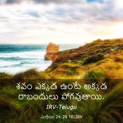 Picture 03 - మత్తయి 24:28 TELIRV - శవం ఎక్కడ ఉంటే - Bible Verse Picture