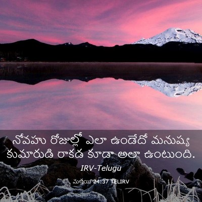 Picture 03 - మత్తయి 24:37 TELIRV - నోవహు రోజుల్లో - Bible Verse Picture