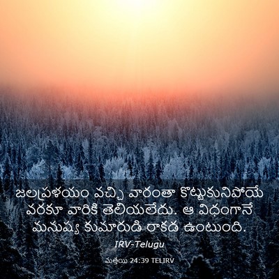 Picture 03 - మత్తయి 24:39 TELIRV - జలప్రళయం వచ్చి - Bible Verse Picture