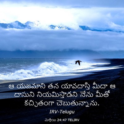 Picture 03 - మత్తయి 24:47 TELIRV - ఆ యజమాని తన - Bible Verse Picture
