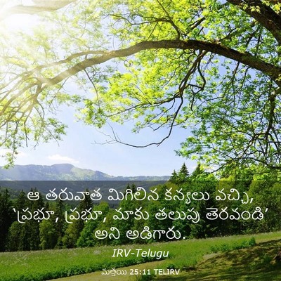 Picture 03 - మత్తయి 25:11 TELIRV - ఆ తరువాత మిగిలిన - Bible Verse Picture