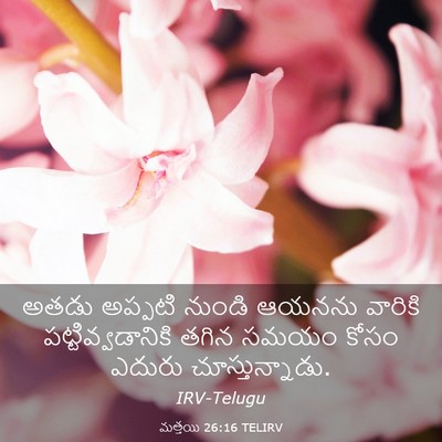 Picture 03 - మత్తయి 26:16 TELIRV - అతడు అప్పటి నుండి - Bible Verse Picture