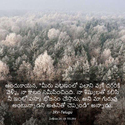 Picture 03 - మత్తయి 26:18 TELIRV - అందుకాయన, “మీరు - Bible Verse Picture