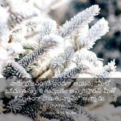 Picture 03 - మత్తయి 26:21 TELIRV - వారు భోజనం - Bible Verse Picture