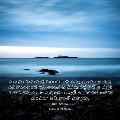 Picture 03 - మత్తయి 26:24 TELIRV - మనుష్య కుమారుణ్ణి - Bible Verse Picture