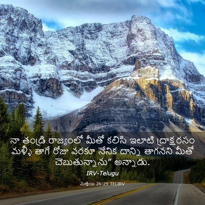 Picture 03 - మత్తయి 26:29 TELIRV - నా తండ్రి - Bible Verse Picture