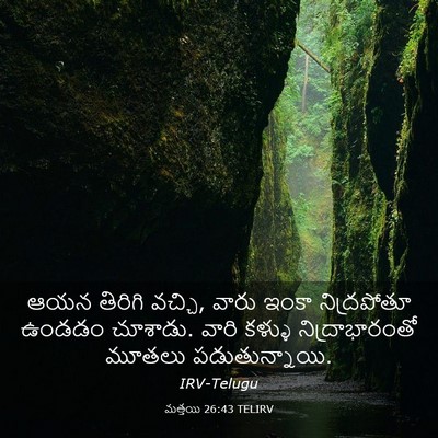 Picture 03 - మత్తయి 26:43 TELIRV - ఆయన తిరిగి వచ్చి, - Bible Verse Picture